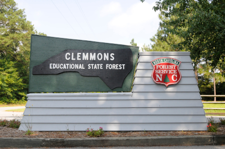 clemmons clayton sign