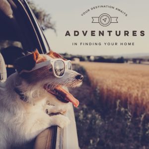 Image of a dog hanging out of a car with text overlayed showing the dates of the POH events and logos