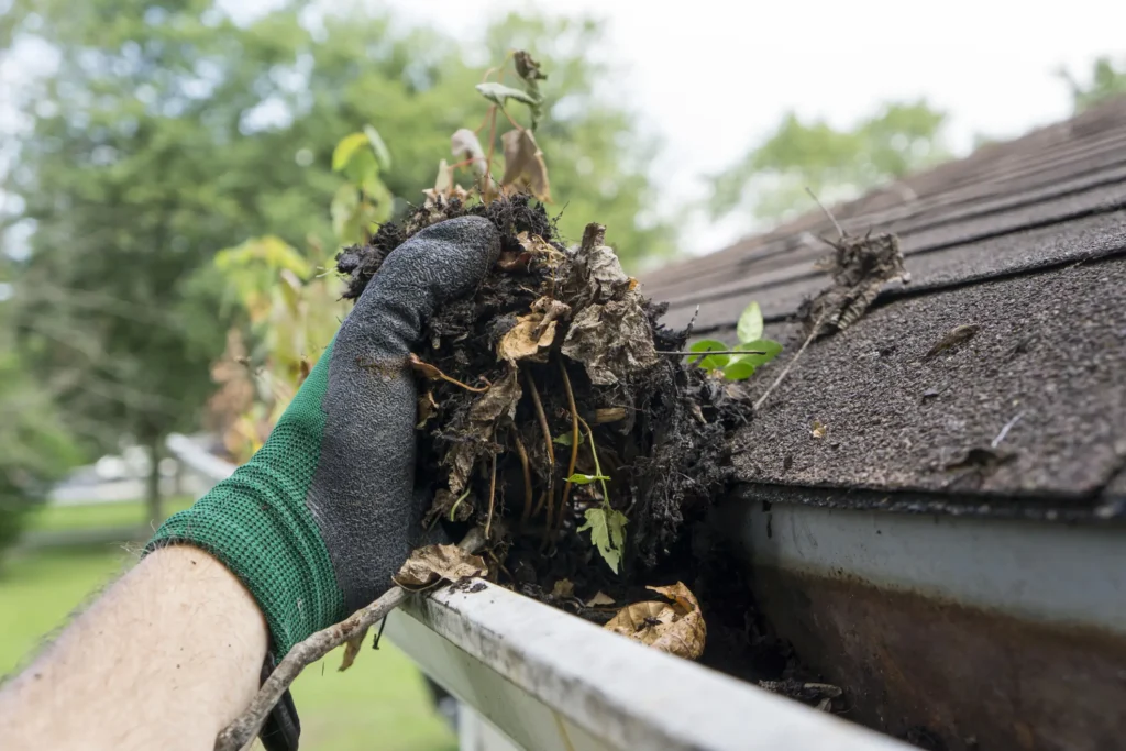 A gloved hand holds debris that's been cleared out of the gutter. Cleaning gutters is one of the steps you should tackled for your winter home maintenance.