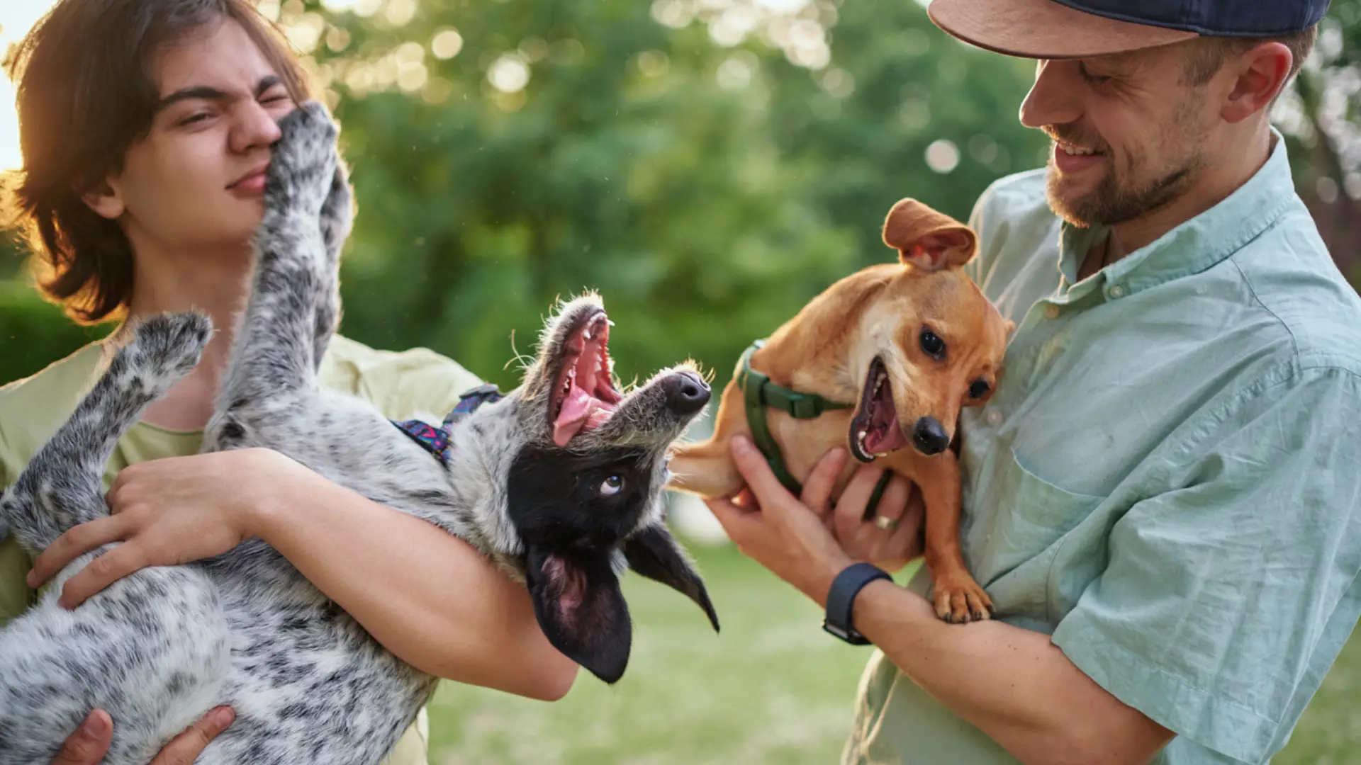 Your guide to the best dog-friendly neighborhoods in the Triangle